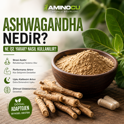 Ashwagandha Nedir? Faydaları ve Kullanımı